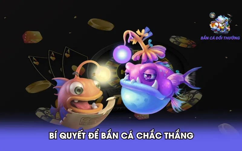 bi-quyet-de-ban-ca-chac-thang