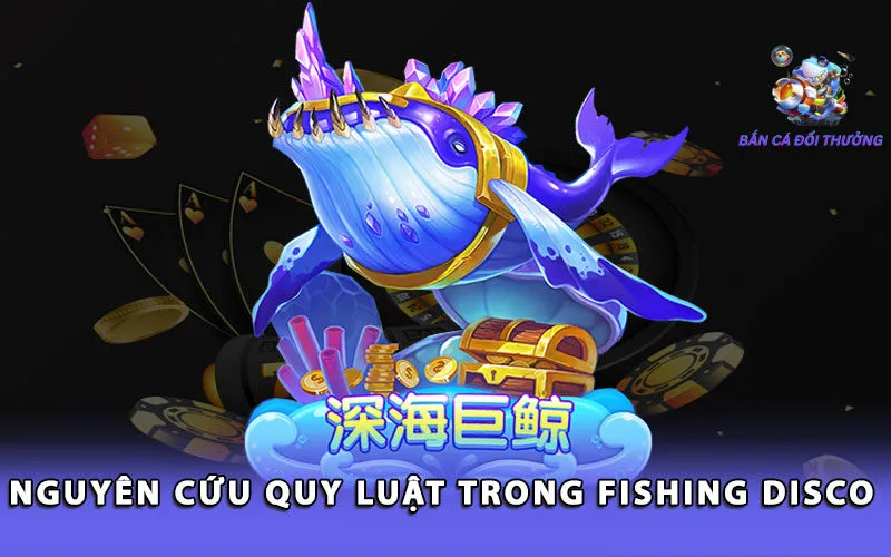 nguyen-cuu-quy-luat-trong-fishing-disco